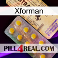 Xforman new06